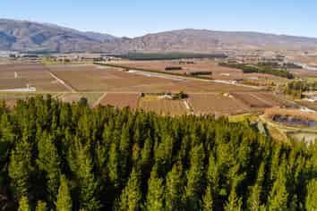 Lot 1 & 5 Ripponvale Road, Cromwell