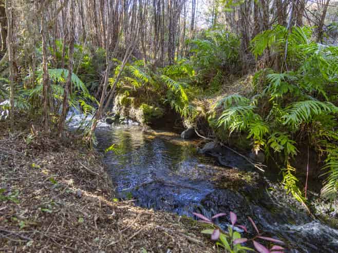 7 Mead Lane, Ohakune