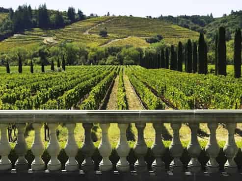 Profitable Tours Business - Great Lifestyle