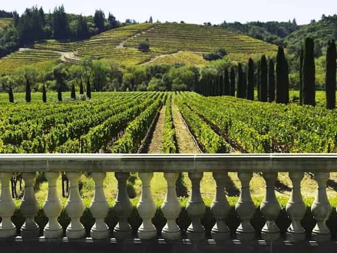Profitable Tours Business - Great Lifestyle