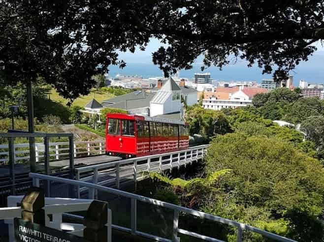 Profitable Tours Business - Great Lifestyle