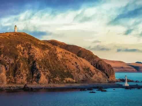 Profitable Tours Business - Great Lifestyle