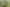 124 Gray Road, Kamo