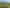 124 Gray Road, Kamo