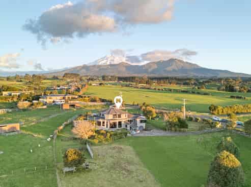 647 Plymouth Road, Koru