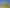 647 Plymouth Road, Koru