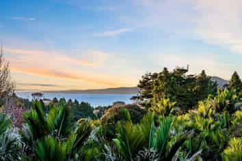15 Fern Glen Road South, St Heliers