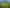 114 Newton Road, Maungatapere