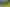 36 Sequoia Place, Sunnynook