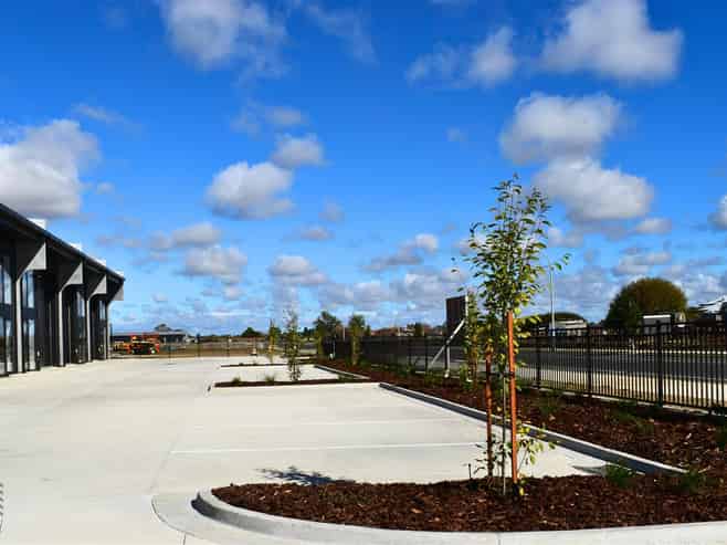 Shiny New In Hautapu