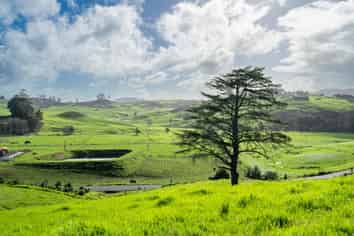  Lemonwood Rise, Maungakaramea