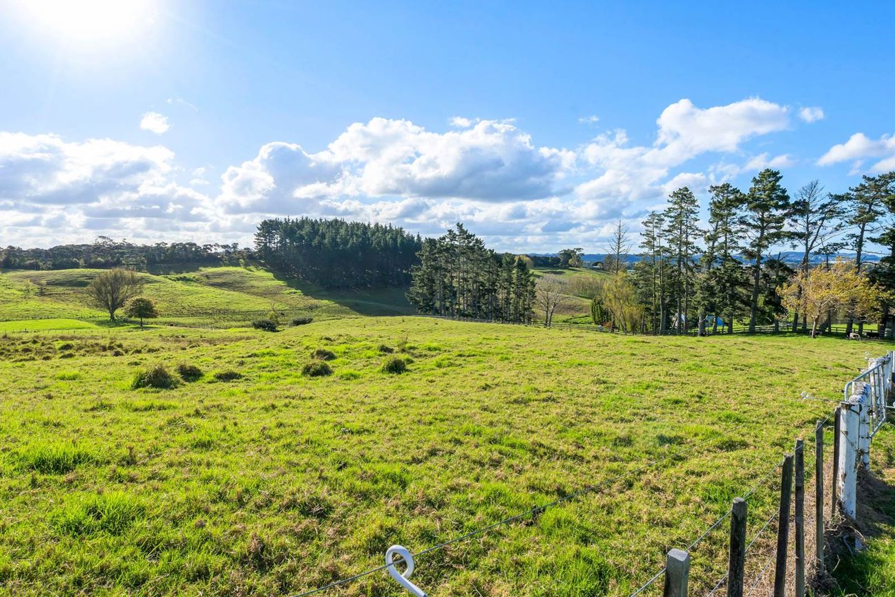 Future Urban Goldmine 1549 Dairy Flat Highway - Widok 5