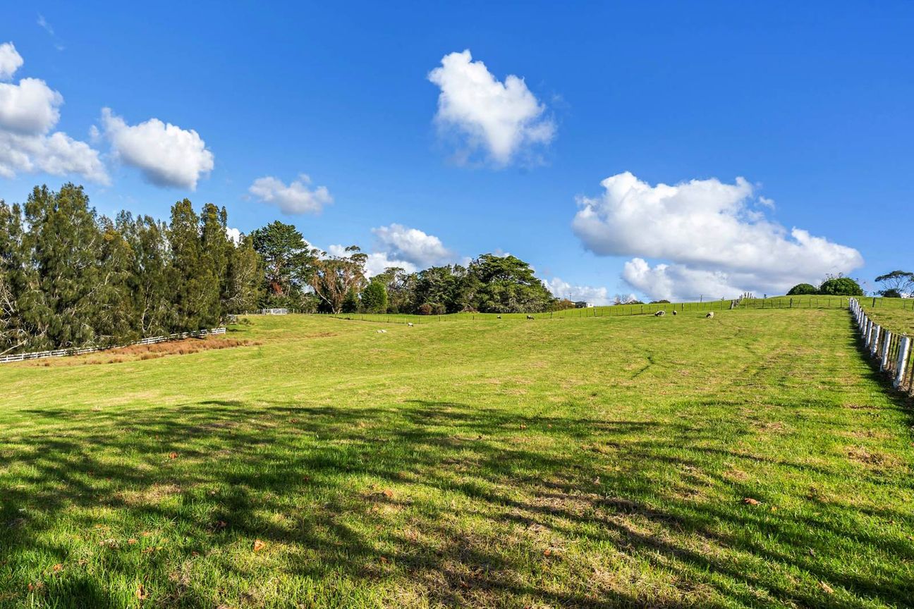 Future Urban Goldmine 1549 Dairy Flat Highway - Widok 6