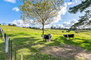 1549 Dairy Flat Highway, Dairy Flat