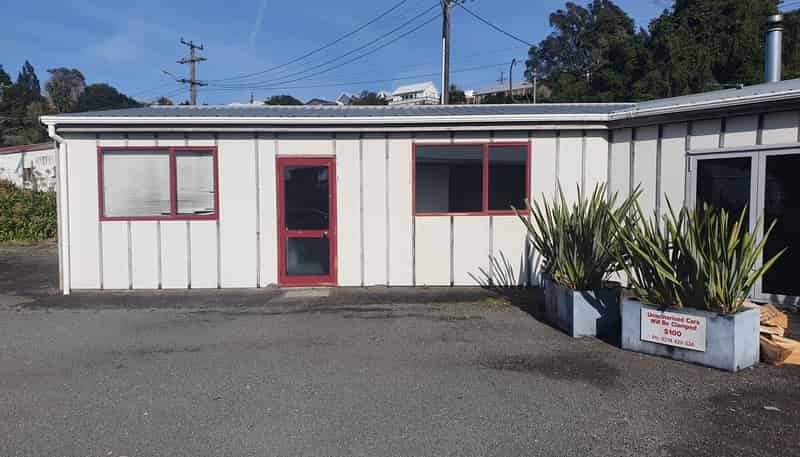 55 Rimu Street, Fitzroy