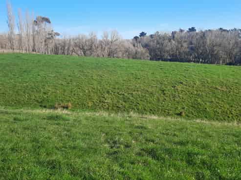 3 Williams Road, Tokomaru