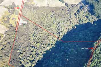 527 Finlayson Road, Waihola