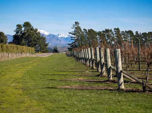 592 Awatere Valley Road, Awatere Valley