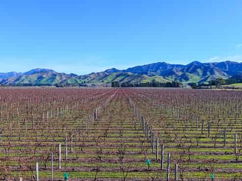 592 Awatere Valley Road, Awatere Valley