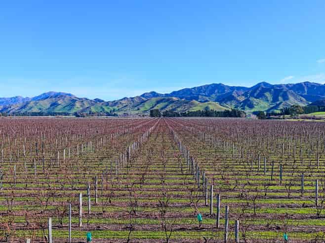 592 Awatere Valley Road, Awatere Valley