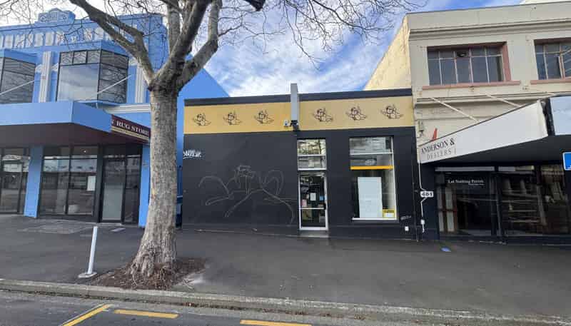 459 Princes Street, Dunedin Central