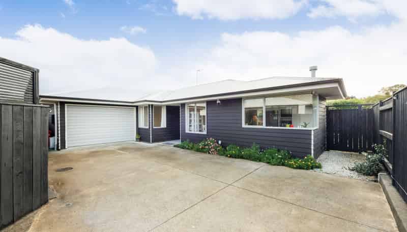 651A Featherston Street, Roslyn