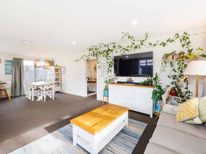 651A Featherston Street, Roslyn
