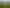592B Bruntwood Road, Tamahere