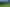 Auckland - Address withheld