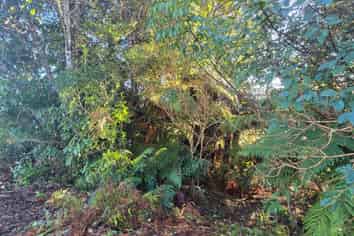 33 Highlander Drive, Franz Josef Glacier