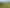 4478 State Highway 12, Dargaville