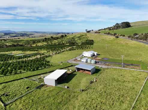 4478 State Highway 12, Dargaville