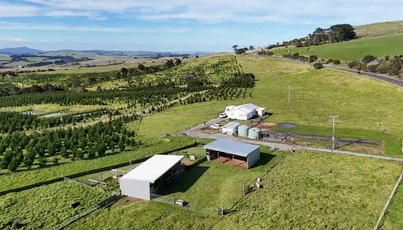 4478 State Highway 12, Dargaville