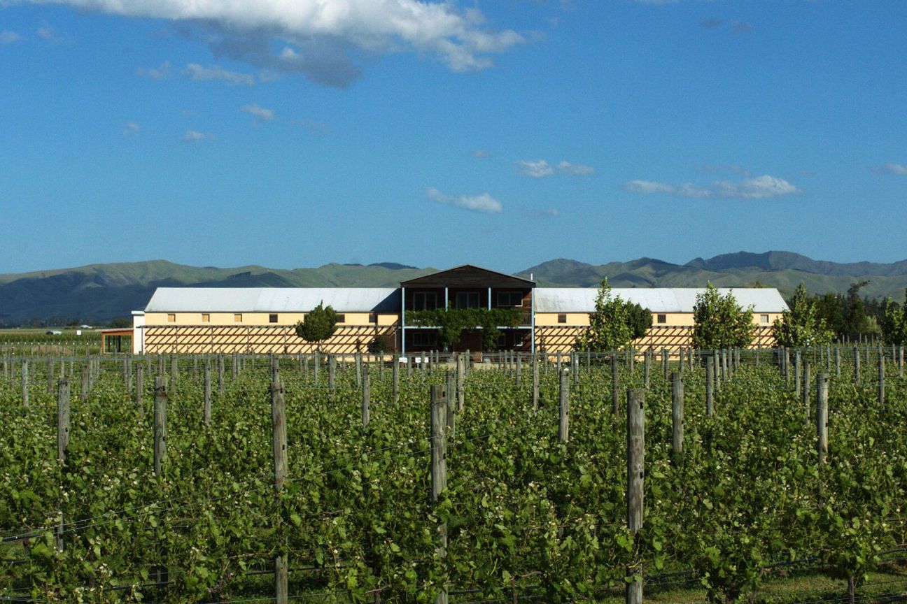 FROMM Estate – an iconic, organic winery - Pogled 6