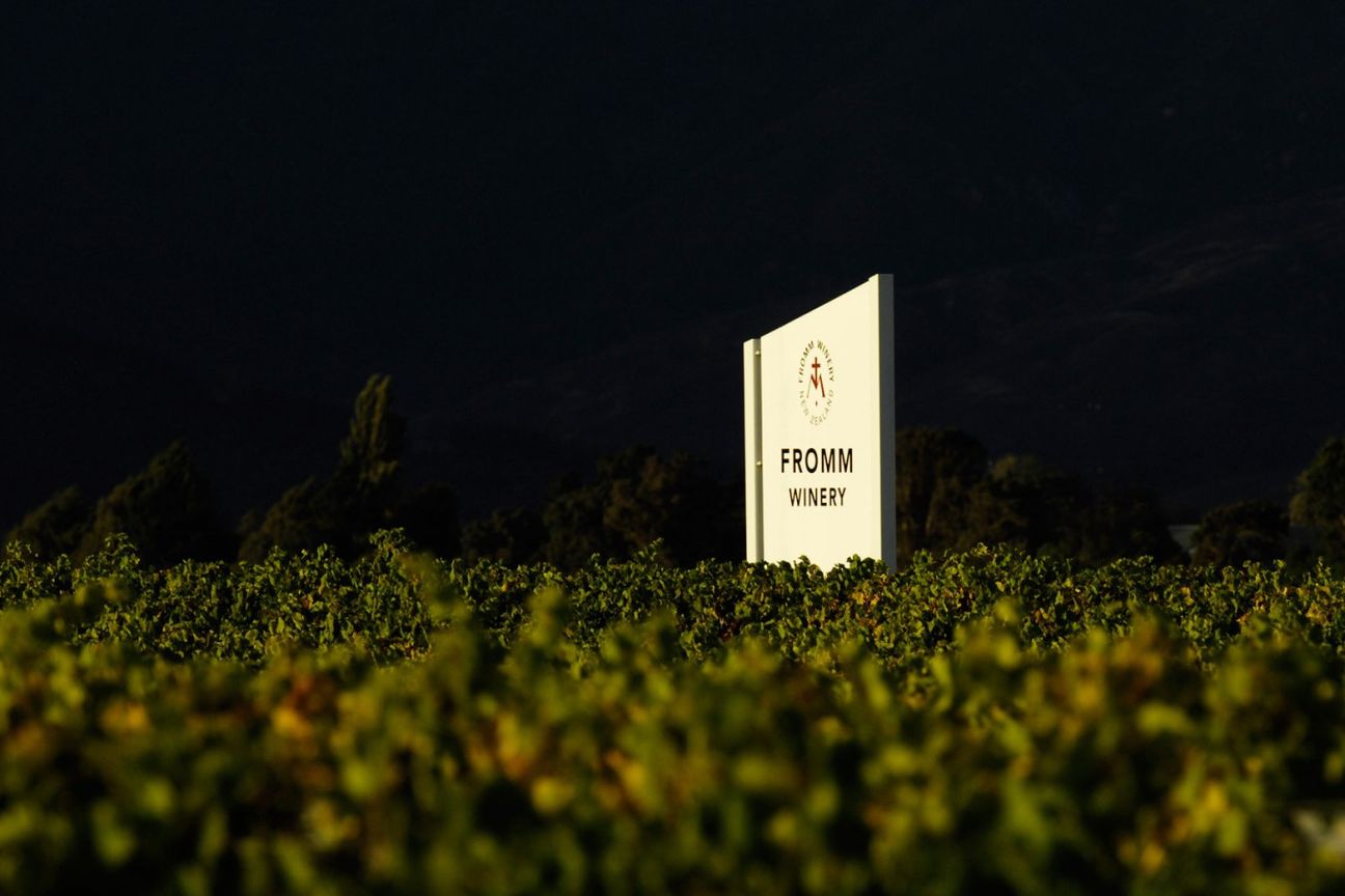 FROMM Estate – an iconic, organic winery - Pogled 3
