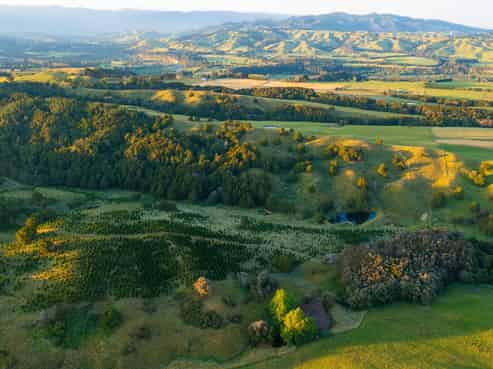 1527 Wakarara Road, Ongaonga