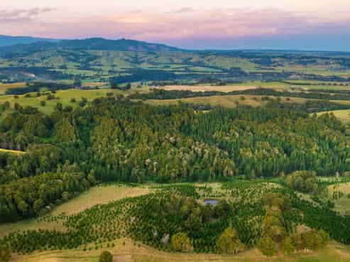 1527 Wakarara Road, Ongaonga