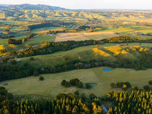 1527 Wakarara Road, Ongaonga