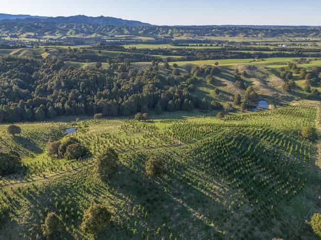 1527 Wakarara Road, Ongaonga