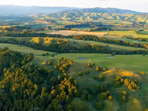 1527 Wakarara Road, Ongaonga