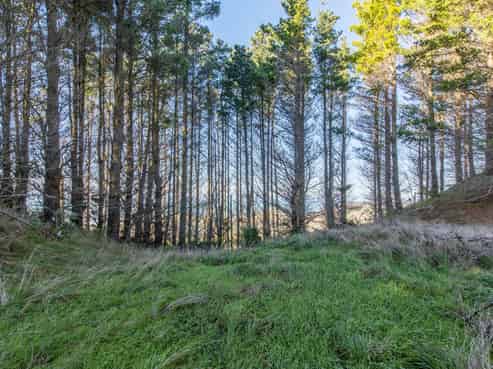 1165C Cooks Tooth Road, Porangahau