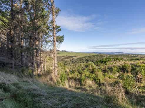 1165C Cooks Tooth Road, Porangahau