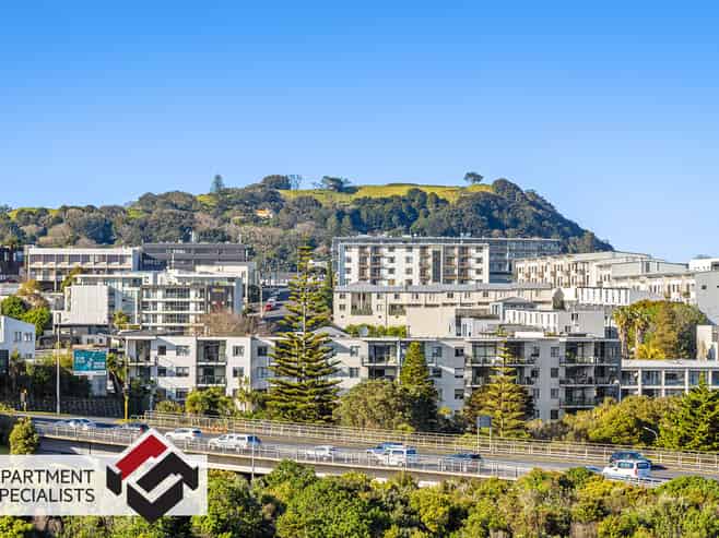 6 Winchester Street, Grey Lynn