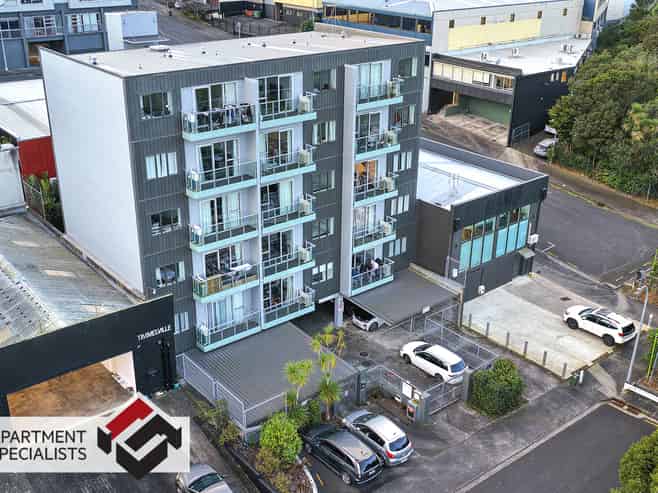 6 Winchester Street, Grey Lynn