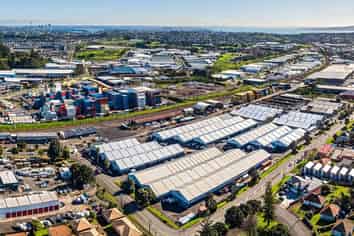 Large-Scale Tamaki Estate Warehouse | 3,648 m2
