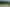 32 Collie Drive, Pukehangi