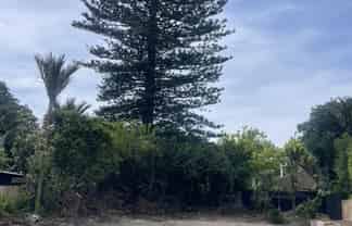 33 William Denny Avenue, Westmere