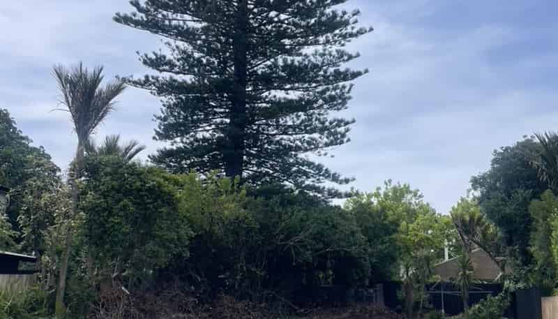 33 William Denny Avenue, Westmere