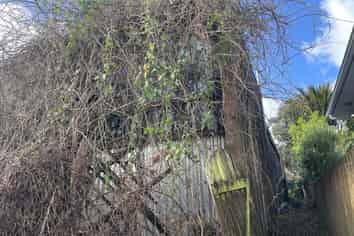 33 William Denny Avenue, Westmere