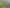 A/33 Murdoch Street, Dargaville